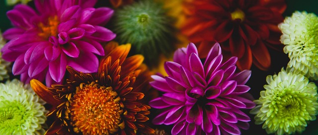 的分道扬镳 的分道扬镳