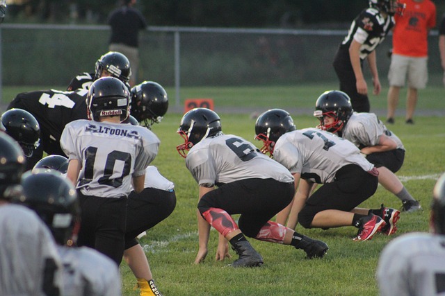 不免會提到 不免會提到