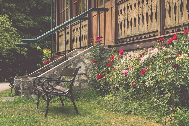 双刃剑的把 双刃剑的把