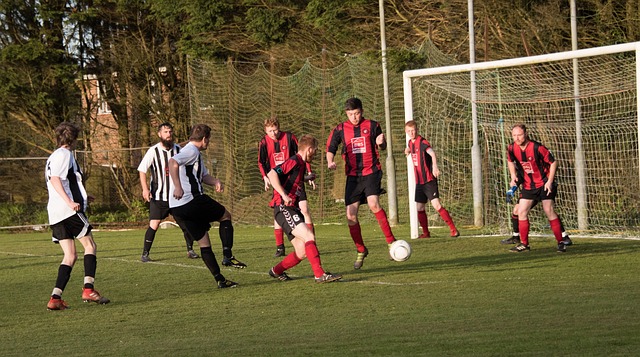 纳尼作为曼 纳尼作为曼