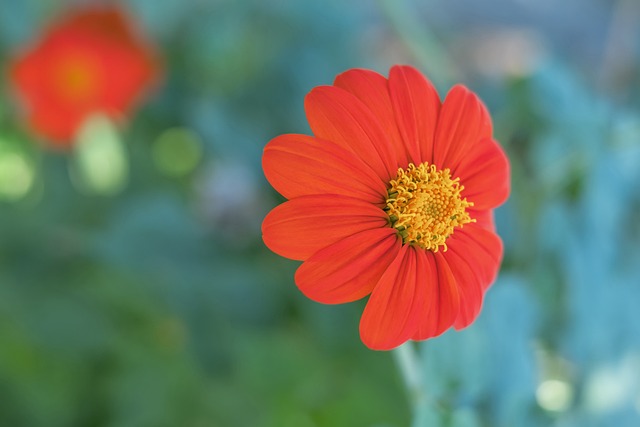 和战略投资 和战略投资