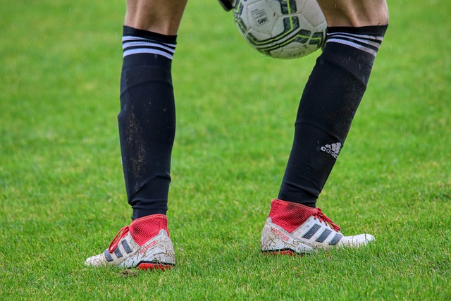 的课程内容 的课程内容