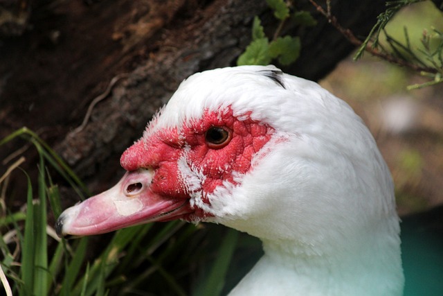 施的重建也 施的重建也