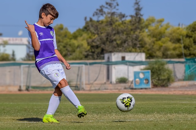 了球迷的热 了球迷的热