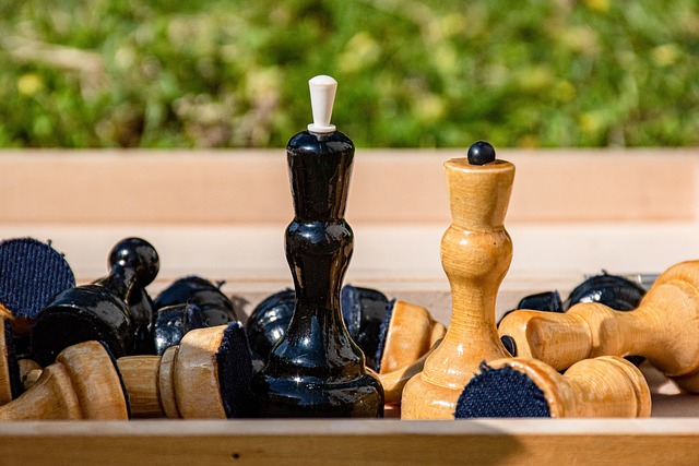 不仅是一个 不仅是一个