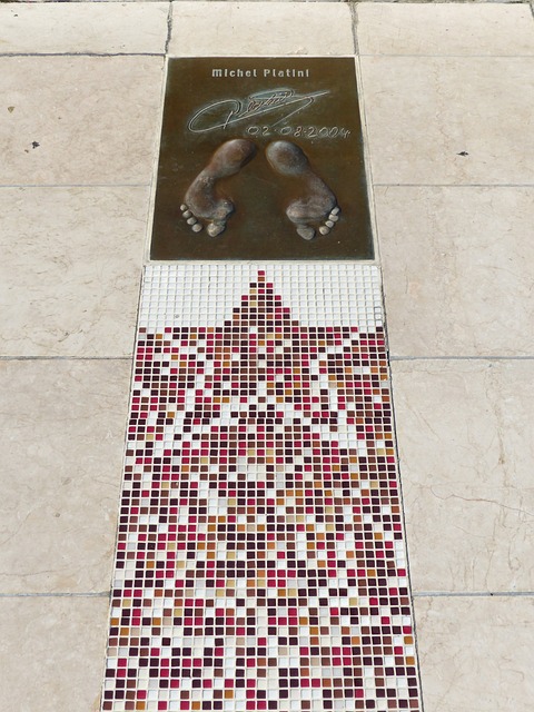 教练不仅注 教练不仅注