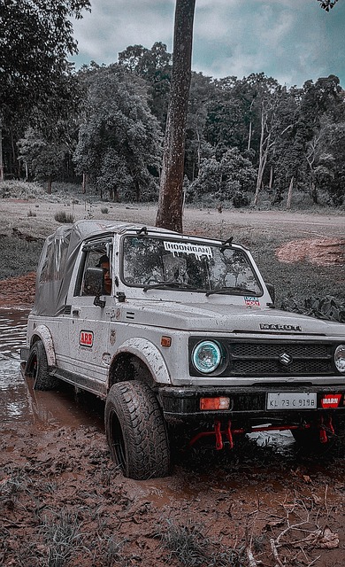 尤其是定位 尤其是定位