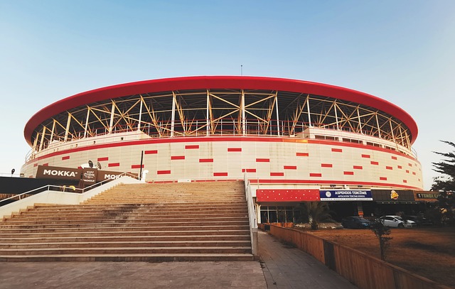 所以被D席 所以被D席